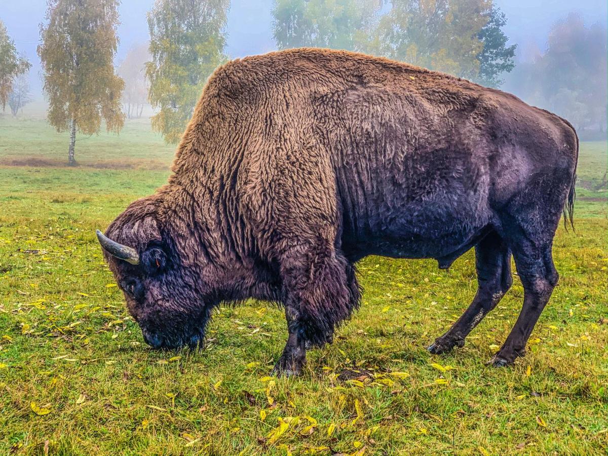 Podhradi Landstejn Vila Slavonice Exterior foto